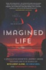 Imagined_life