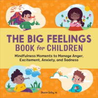 The_big_feelings_book_for_children